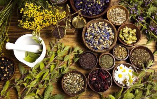 Anti-aging Herbs for Radiant Skin