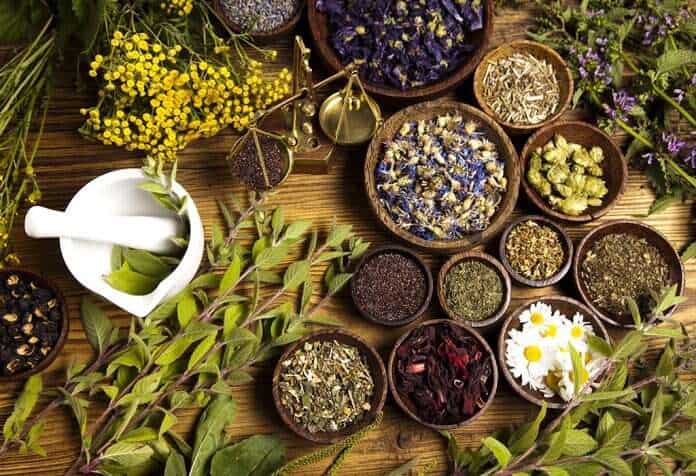 Anti-aging Herbs for Radiant Skin